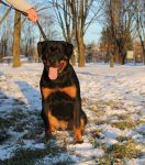 Plaza, female, 5,5m.