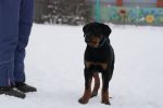 3,5 месяца